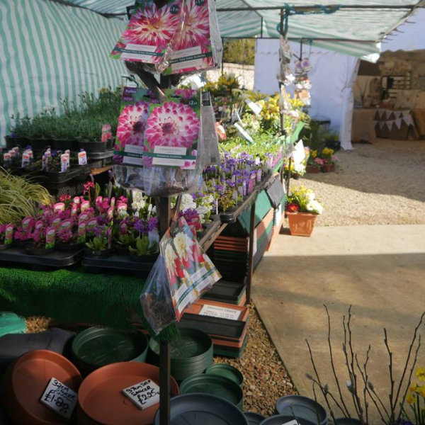 Pop Up Flower & Plant Stall, By the beach hut pop up shops from Easter to October.  In the front car park in the Winter. | Here at Dalegate Market we're really pleased to be hosting Lilac Nurseries, with a wonderful seasonal selection of flowers, plants and other gardening items. | pop up shop, flowers, plants, gardening, stall, seasonal, spring, summer, autumn, winter, lilac, nurseries, dalegate market, burnham deepdale, north norfolk coast