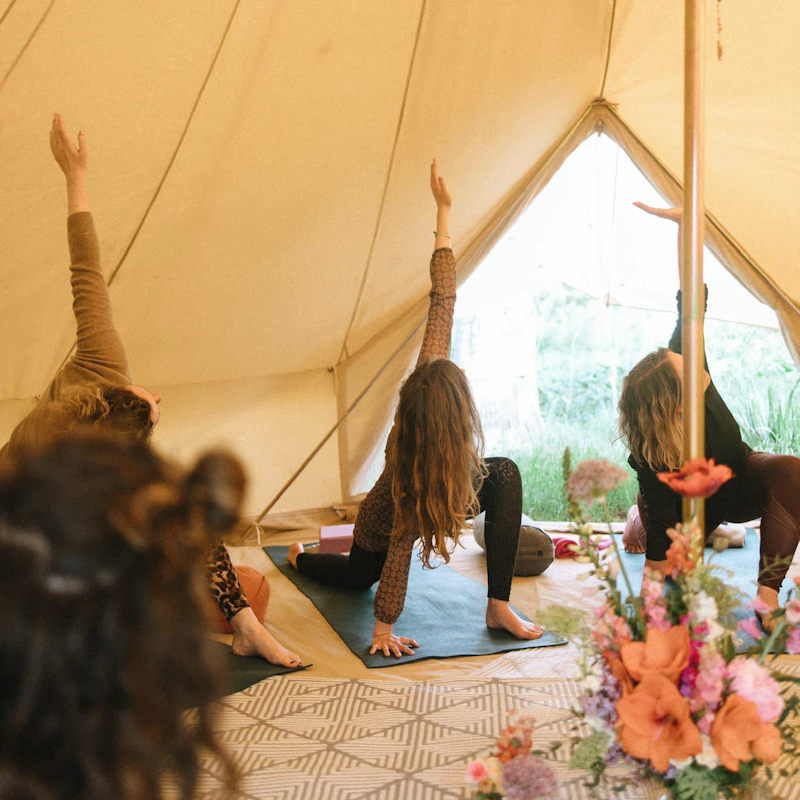 Wild Yoga Garden, Dalegate Market | Shopping & Cafe, Burnham Deepdale, North Norfolk Coast, United Kingdom